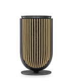 Bang & Olufsen Beolab 8 Wireless Speaker Single