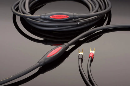 [product_title] by [vendor] | [product_type] | Tivoli Hi-Fi