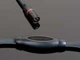 Chario & Electrocompaniet Aria System as seen at StereoNET Hi-Fi Show 2025