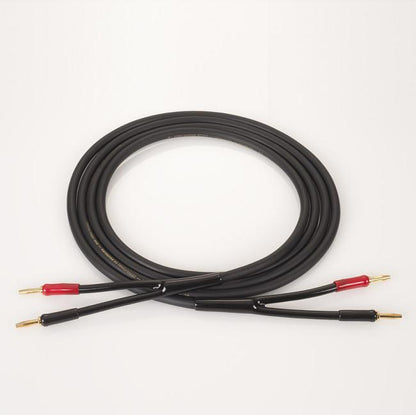 [product_title] by [vendor] | [product_type] | Tivoli Hi-Fi