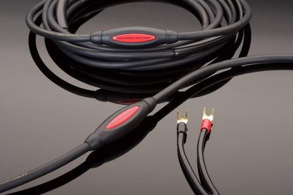 [product_title] by [vendor] | [product_type] | Tivoli Hi-Fi