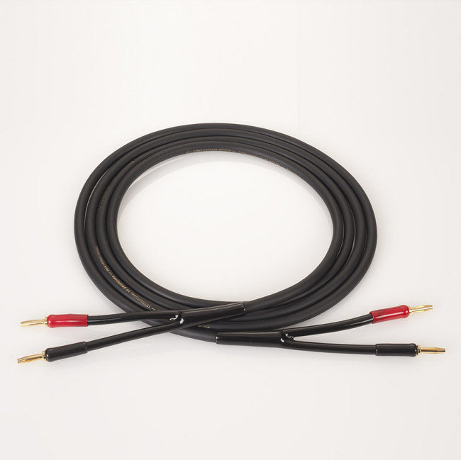 [product_title] by [vendor] | [product_type] | Tivoli Hi-Fi