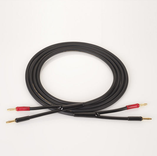 [product_title] by [vendor] | [product_type] | Tivoli Hi-Fi